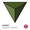 AK Interactive AK17021 FOREST GREEN – QUICK GEN COLOR 18ml